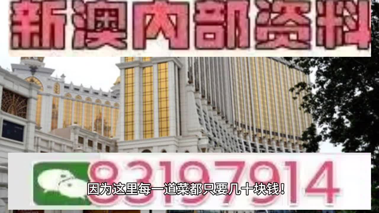 未来展望 第3页